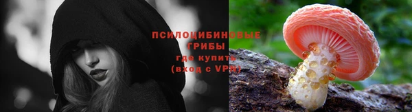 дживик Нея